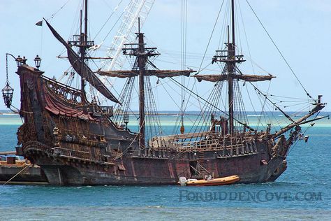 Black beard's ship | Queen Anne's Revenge (Blackbeard's Ship) - POTC4 | Flickr - Photo ... Old Pirate, Filming Set, Black Pearl Ship, Sunken Ship, Pirates Life, Bateau Pirate, Pirate Ships, Old Sailing Ships, Ship Of The Line