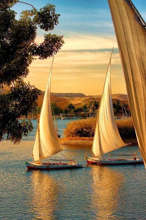 Egypt Aesthetic, Navi A Vela, Make A Boat, Build Your Own Boat, Image Nature, Nile River, Boat Art, Egypt Art, Egypt Travel