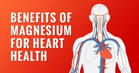 Benefits of Magnesium for Heart Health And Well-being Benefits Of Magnesium, Types Of Magnesium, Best Magnesium, Magnesium Rich Foods, Gastrointestinal Disorders, Magnesium Benefits, Magnesium Glycinate, Magnesium Deficiency, Relieve Constipation