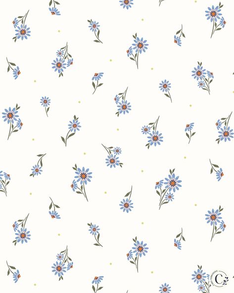 African Daisy, Flora Pattern, Quirky Prints, Dainty Flowers, Modern European, Tiny Flowers, Ditsy Floral, Floral Patterns, Flower Wallpaper