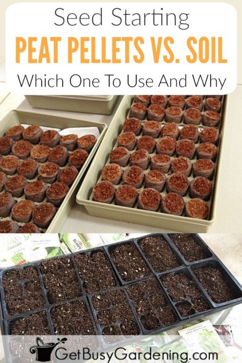 It can be overwhelming for new gardeners to figure out the best seed starting medium to use for growing seeds. This in-depth, side-by-side comparison of seed starting peat pellets vs. soil filled seed trays will help you decide which to use and why, including a list of pros and cons for both methods. Garden Landscaping Design Ideas, Seed Starting Soil, Growing Tomatoes In Containers, Starting Seeds Indoors, Seed Starter, Seed Saving, Garden Types, Garden Containers, Growing Tomatoes