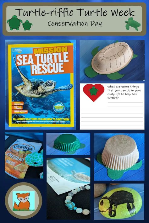 Get ready for a shell-ibrating adventure with "Turtle-riffic Turtle Week: Conservation Day". Submerge yourself in imaginative crafts, fun activities, engaging books, and stimulating writing prompts that make learning fun. Embrace the fascinating world of turtles & what you can do to help, right from the comfort of your home! Click here to check out our ideas! Tucker Turtle Activities, Turtle Science Activities, Turtle Unit Study, Turtle Activities, Turtle Rescue, Turtle Day, Turtle Rock, Sea Turtle Conservation, Turtle Conservation