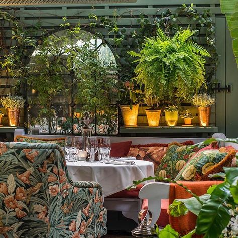 The Ivy Chelsea Garden (@ivychelsgarden) • Instagram photos and videos Ivy Restaurant, The Ivy Chelsea, Best Places In London, Chelsea Garden, London Guide, Dinner Restaurants, French Style Homes, Romantic Restaurant, Chelsea London