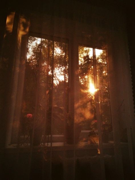 Cozy Home Art, Umber Aesthetic, Sunset Through Window, Sunlight Aesthetic, Sunlight Photography, Masashi Kishimoto, Between Two Worlds, All Photo, Orange Aesthetic