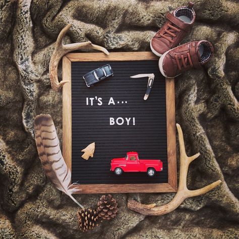 Boy or Girl? Why We Wanted To Know! | Oakland Acres Boy Announcement Pictures, Nursery Woodland Theme, Boy Nursery Woodland, Baby Gender Announcements, Vom Avea Un Copil, Pregnant With Boy, Gender Announcement, Boy Announcement, Gender Reveal Announcement