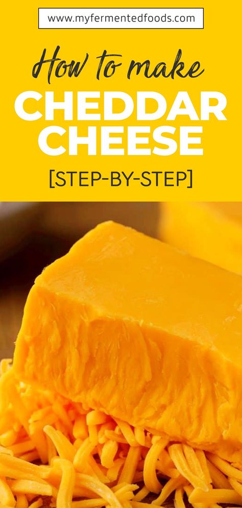 The most popular cheese in the UK and the second-most popular in the US, Cheddar cheese attracts a lot of attention, especially among true epicures. Put on your cooking gloves, as we’re about to share with you the best Cheddar cheese recipe. . . . #MyFermentedFoods #FermentedFoods #CheeseRecipe #Cheese #CheddarCheese #MakingCheese Diy Parmesan Cheese, Farmhouse Cheddar Recipe, How To Make Cheddar Cheese At Home, How To Make Cheddar Cheese, Diy Cheddar Cheese, Homemade Cheddar Cheese, Home Made Cheese, Homemade Cheeses, Cozy Hobbies