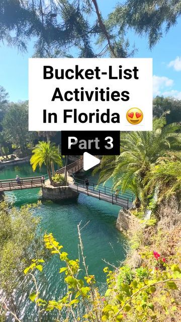 Victoria + Terrence on Instagram: "Put Rock Springs/Kelly Park on your Florida Bucket List! 
.
.
.
.
.
.
.
.
.
 . #reels #adventure #nature #discoverearth #welivetoexplore #wildernessculture #amongthewild #awesomeearth #travel #goparks #ourcamplife #awakethesoul #takemoreadventures #optoutside  #hiddengems #america #usa #earthfocus #floridatravel #roamflorida #floridagirl #bucketlist  #budgettravel #googlemaps #bluewater  #floridasprings #apopka #alligator #kellyparkrocksprings #orlandothingstodo" Rock Springs Florida, Williston Florida, Florida Bucket List, Florida Trips, Florida Activities, Kelly Park, Florida Parks, Anna Maria Island Florida, Fl Keys