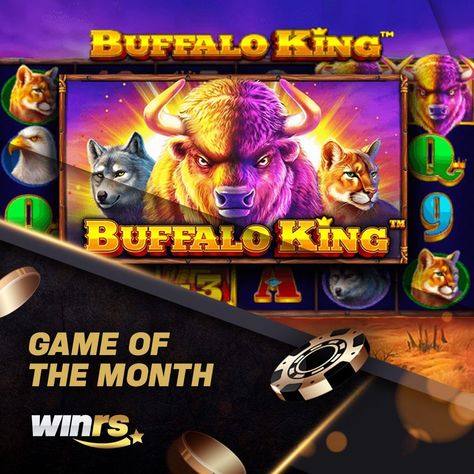 Embrace the wild in Buffalo King and grab the golden buffalo by the horns, the bigger the herd you catch, the more attractive the prize - paid in Free Spins - will be waiting for you! #WinRs #OnlineGambling #Gambling #Betting #Bet #BuffaloKing #PragmaticPlay #Slots #Game Online Gambling, Waiting For You, The Golden, The Wild, Slots, Buffalo