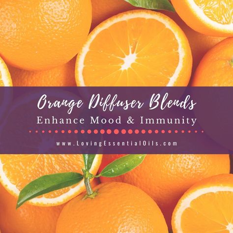 The fresh and fruity scent of orange essential oil invigorates and sharpens the senses. When you feel down or overwhelmed, it can be difficult to see the positives in life.  Let these orange diffuser blends help you feel happy and relaxed. Orange essential oil is well known for its energizing, immune-stimulating, antib Orange Diffuser Blends, Petitgrain Essential Oil, Marjoram Essential Oil, Roman Chamomile Essential Oil, Pine Essential Oil, Vetiver Essential Oil, Jasmine Essential Oil, Spearmint Essential Oil, Essential Oil Diffuser Recipes