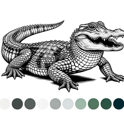 Children's Realistic Alligator Coloring Page- 4 Free Printable Pages Vintage Alligator Illustration, Alligator Tattoo, Alligators Art, Short Notes, Christian Shirts Designs, Printable Pages, Amphibians, Young Artist, Christian Shirts