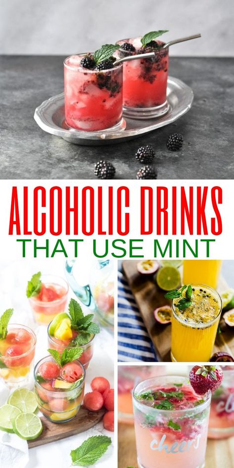 Delicious (alcoholic) Drinks That Use Mint! Minty Drinks Delicious Alcoholic Drinks| Put your Garden Mint to Work this Summer #mintydrinks #alcoholicdrinks #drinkswithmint via @aspiringwinos Mint Alcoholic Drinks, Alcohol Drinks Recipes, Low Carb Vodka Drinks, Best Mojito Recipe, Easy Mojito Recipe, Easy Party Drinks, Julep Recipe, Mint Drink, Yummy Summer Drinks