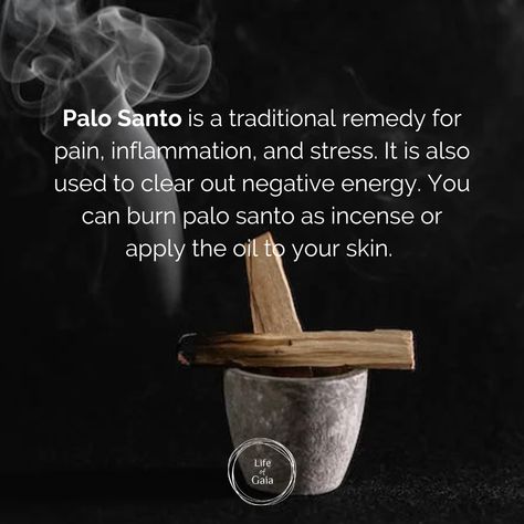 Paolo Santo Smudge, Diy Palo Santo Oil, Paulo Santo Smudging, Palo Santo Smudging Prayer, Palo Santo Benefits, Astrology Knowledge, Palo Santo Smudging, Burning Palo Santo, Essential Oils For Congestion