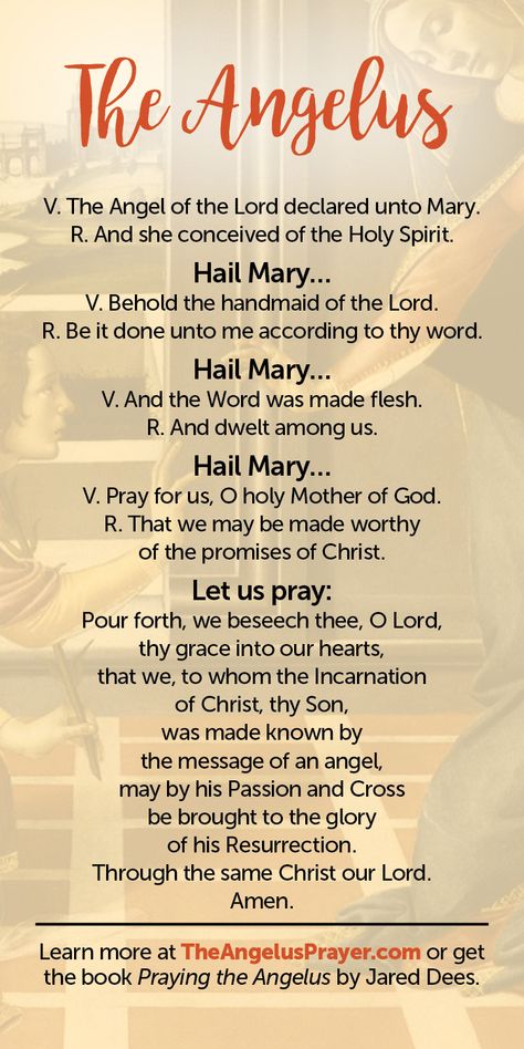 Angelus Prayer, Praying The Rosary Catholic, Catholic Saints Prayers, Rosary Prayers Catholic, The Angelus, Catholic Prayers Daily, Divine Mercy Chaplet, Catholic Beliefs, Novena Prayers