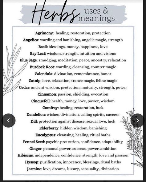 New Orleans Witch, Herbs List, Magickal Herbs, Witch Herbs, Magia Das Ervas, Green Witchcraft, Witch Spirituality, Magic Spell Book, Grimoire Book