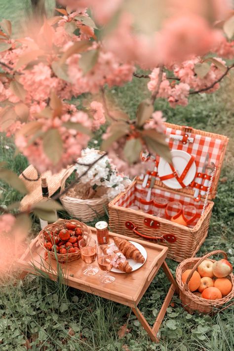 Picnic Under Tree, Cherry Blossom Picnic, 5th Anniversary Ideas, Romantic Picnic Food, Picnic Photography, Aesthetic Picnic, Spring Picnic, Picnic Aesthetic, Picnic Inspiration