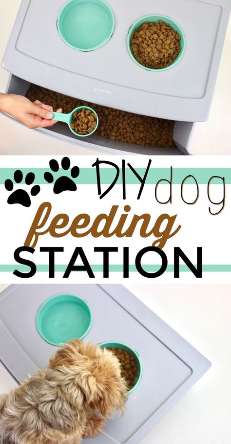 This DIY dog feeding station is is so handy. It raises the dishes off the floor for your pup AND has built-in storage. Dog Feeding Station For Two Dogs, Food Details, Dog Food Station, Easy Diy Fashion, Puppy Things, Pets Stuff, Pet Crafts, Face Moisturizer For Dry Skin, Pet Feeding Station