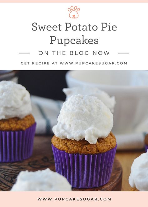 Dog Birthday Parties, Pupcake Recipe, Coconut Cream Frosting, Pet Treats Recipes, Dog Cupcakes, Dog Biscuit Recipes, Healthy Dog Treats Homemade, Midday Snack, Doggie Treats