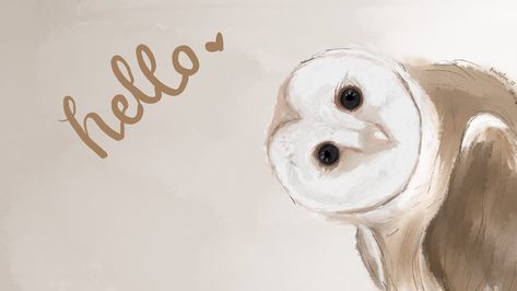 Owl Laptop Wallpaper, Aesthetic Owl Wallpaper, Owl Wallpaper Aesthetic, Owl Desktop Wallpaper, Aesthetic Owl, Owl Aesthetic, Owl Wallpaper Iphone, Owls Wallpaper, Cute Owls Wallpaper