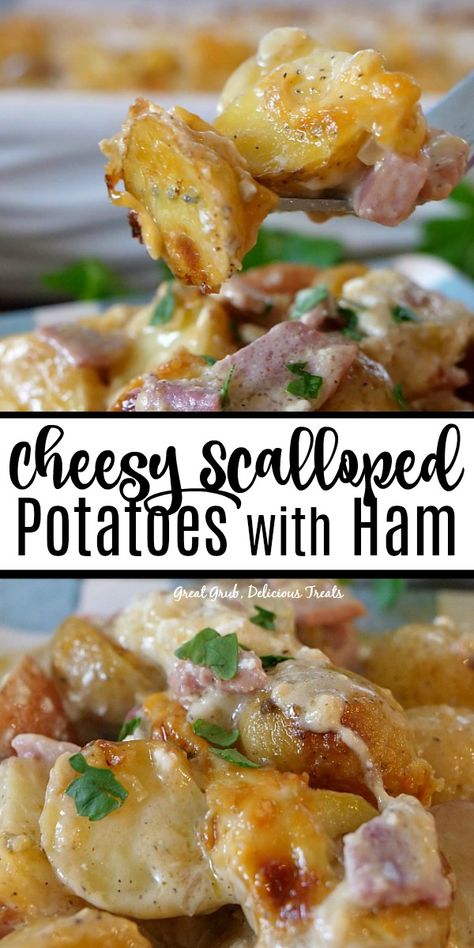 Ham And Potato Recipes Casseroles, Scalloped Potatoes With Ham And Cheese, Ham Cheese And Potato Casserole, Ham And Cheesy Potato Casserole, Ham And Cheese Scalloped Potatoes, Ham Potato Cheese Casserole, Ham And Potato Casserole Recipes, Casseroles With Ham, Ham And Potatoes Casserole