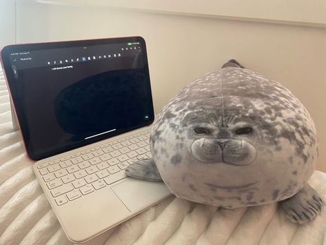 Cute Seals, Baby Seal, Silly Images, Fete Anime, Silly Animals, Silly Pictures, Marine Animals, Sealife, Cute Plush