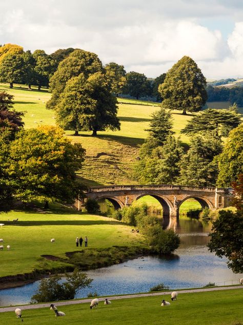 Chatsworth , wonderful Capability Brown landscape Capability Brown, Brown Landscape, Visit England, Veranda Magazine, England Countryside, Chatsworth House, Fine Art Landscape Photography, Fine Art Landscape, English Countryside