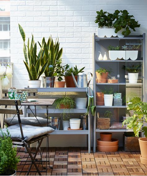 Find outdoor space you never thought you had with HINDO outdoor storage family. Durable enough to handle even the rainiest summer, HINDO lets you store anything from flower pots to gardening tools while keeping your outdoors looking beautiful. Small Decks, Ikea Garden, Balcon Mic, Diy Small Apartment, Ikea Plants, Ikea Outdoor, Apartment Balcony Garden, Tiny Balcony, Foldable Table