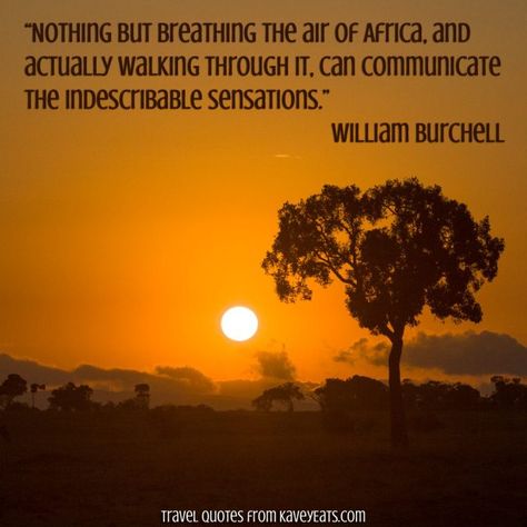 Communicate Quotes, Africa Quotes, African Words, Africa Vacation, Quote Travel, African Quotes, Culture Quotes, Africa People, African Proverb