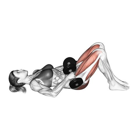 There are a number of alternative exercises to the glute bridge, namely the hip thrust which is likely considered the best substitute for gluteal training. #glutesworkout #glutebridge #posteriorchain #hamstrings #hipthrust #lateralsteps #legcurls Body Muscle Anatomy, Quadriceps Femoris, Bone Strengthening, Flexibility Routine, Bridge Workout, Gym Workout Plan For Women, Gluteal Muscles, Hip Bridge, Bicycle Crunches