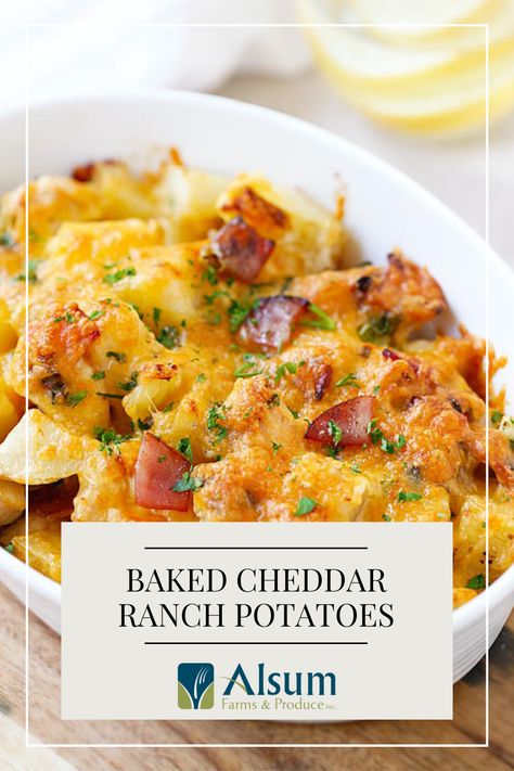 Cheddar Ranch Potatoes, Ranch Potato Recipes, Ranch Potatoes, Bottle Dressing, Ranch Seasoning, Bacon Cheddar, Red Potatoes, Ranch Dressing, Potato Recipes