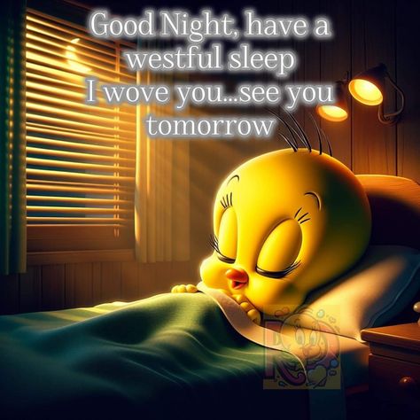 Good Night See You Tomorrow, Goodnight See You Tomorrow, Good Night Memes Funny Hilarious, Cute Memes For Her Goodnight, Meme Good Night, Good Night Meme Funny, Afternoon Quotes, Good Night Funny, Meme Good Night Sweet Dreams