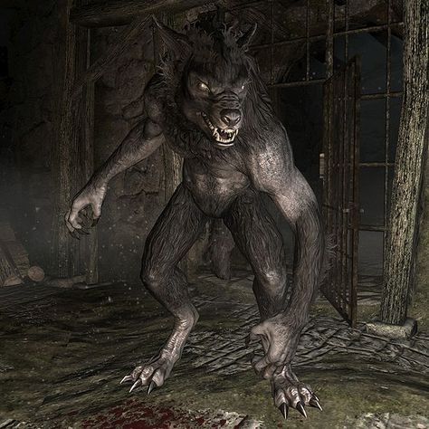 Skyrim Werewolf, Skyrim Art, Shadow Of The Colossus, Elder Scrolls Skyrim, Spirit Animal Art, Werewolf Art, Vampires And Werewolves, Horror Movie Characters, Skyfall