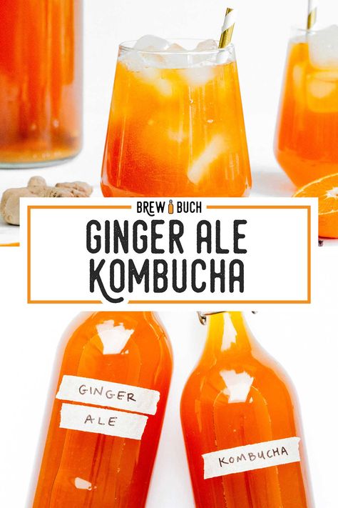 With citrusy orange juice, spicy fresh ginger, and aromatic cloves, this Gingerade copycat kombucha flavor is more than meets the eye. #kombucha #fermentation #homebrewing Raspberry Kombucha Recipe, Hashbrown Recipes Homemade, Mango Kombucha, Ginger Kombucha Recipe, Kombucha Flavors Recipes, Ginger Kombucha, Kombucha Recipes, Homemade Ginger Ale, Best Non Alcoholic Drinks