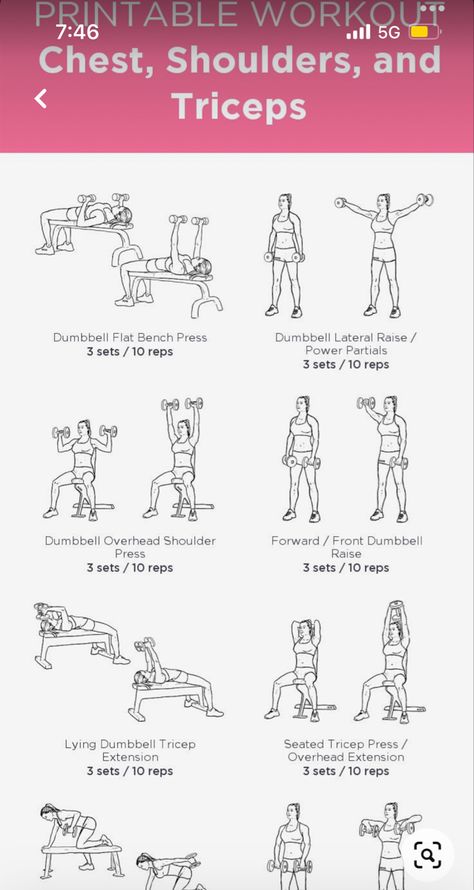 Arm Workouts Machines, Gym Stomach Workout, Low Impact Workout Plan, Upper Body Workout Gym, Chest And Tricep Workout, Workout Labs, Workout Gym Routine, Push Workout, Workout Program Gym