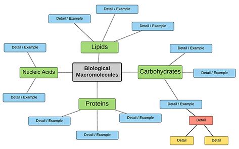 This activity asks students to work in groups to create a concept map (graphic organizer) on the biological macromolecules: carbohydrates, lipids, fats, and Carbohydrates Biology, Biological Macromolecules, What Are Carbs, Biochemistry Notes, Biology Activity, Concept Maps, General Biology, Science Anchor Charts, Biology Classroom