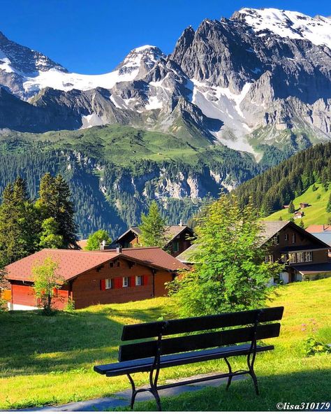 Switzerland 🗻 🇨🇭 #Switzerland #swissalps #alps #love #enjoy #beauty #beautiful #pic #photography #nature  #winter #mountains #zurich… Mürren Switzerland, Murren Switzerland, Fairytale Houses, Armchair Travel, Pursuit Of Happiness, Just Be Happy, Switzerland Travel, Autumn Scenery, Swiss Alps