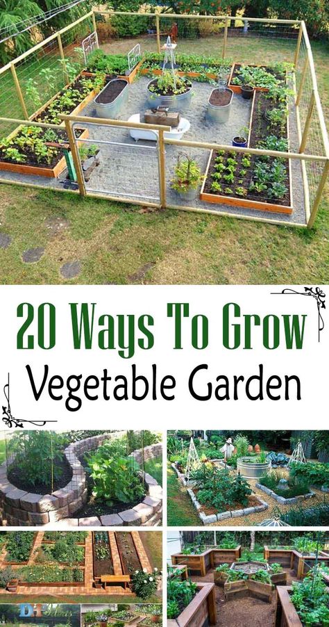 Ways To Grow Vegetable Garden. Find more than 20 great solutions on how to grow a DIY vegetable garden. Start yours today! #vegetablegarden #garden #diy #growvegetables #decorhomeideas Small Raised Vegetable Garden, Small Vegetable Garden Design, Small Vegetable Garden Ideas, Vegtable Garden, Vertical Vegetable Gardens, Raised Vegetable Gardens, Vertical Vegetable Garden, Small Vegetable Gardens, Diy Raised Garden