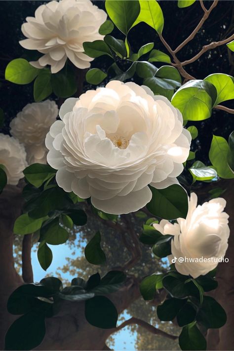 Camellia Flower Wallpaper, White Camellia Flower, Camellia Flowers, White Camellia, Camellia Flower, Nothing But Flowers, Flower Wallpaper, White Christmas, Beautiful Flowers