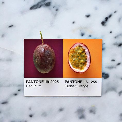 plum, red, purple, orange Verde Pantone, Pantone Swatches, Color Numbers, Tropical Food, Design Camp, Pantone Colour Palettes, Plum Fruit, Orange Interior, Fruit Photography