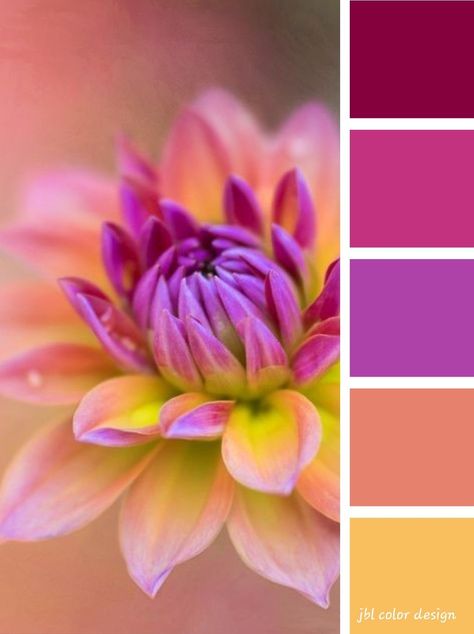 Summer Floral Color Palette, Mandala Color Palette, Flower Color Schemes, Complimenting Colors, Paint Color Pallets, Paint Color Combos, Three Color Combinations, Bright Color Schemes, Color Palette Challenge