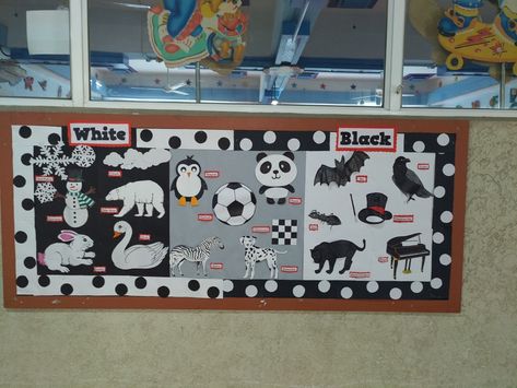 This board includes objects which are black and white in colour. Black Colour Day Activities For Kids, Black And White Day For Preschool, White Day Celebration In Preschool, Black And White Bulletin Board Ideas, Elephant Drawing For Kids, Diy Summer Decor, Preschool Boards, Bird Coloring, Kindergarten Projects