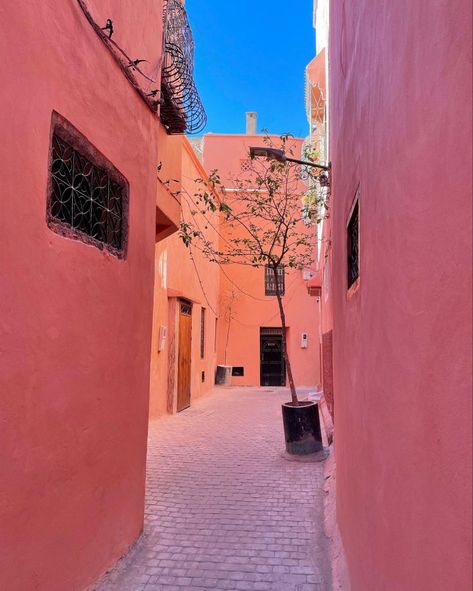 Morrocan Aesthetic, Morocco Aesthetic, Moroccan Aesthetic, Marrakech Travel, Moroccan Art, Marrakech Morocco, Countries To Visit, Dream Travel Destinations, I Want To Travel