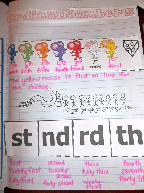 Teaching ordinal numbers through interactive notebooking (numeration unit) $ Ordinal Numbers Anchor Chart, Ordinal Number Anchor Chart, Ordinal Numbers Worksheets Grade 2, Ordinal Number Activities, Ordinal Numbers Flashcards, Teaching Ordinal Numbers Kindergarten, Ordinal Numbers Kindergarten, Daily 3 Math, Ingles Kids