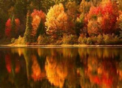 Fall Facebook Cover, Fb Cover Photos, Michigan Travel, Facebook Timeline Covers, Fall Pictures, Scenic Drive, Facebook Cover Photos, Fall Photos, Fall Foliage