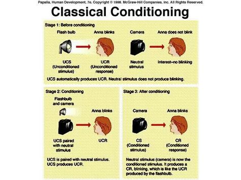 Conditioning Classical Conditioning Psychology, Ocd Intrusive Thoughts, Classical Conditioning, Thought Disorder, Relationship Ocd, Blink Camera, Operant Conditioning, Intrusive Thoughts, Behavior Analysis