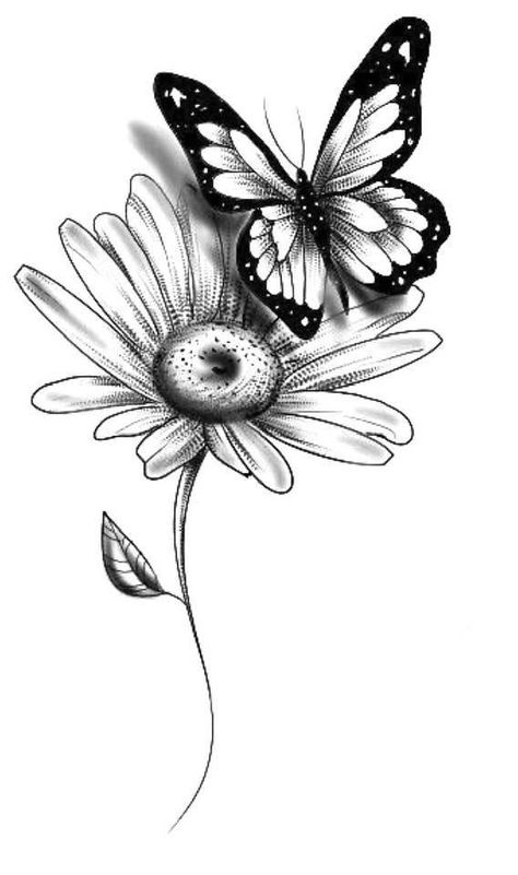 Tattoo Papillon, Butterfly Tattoos Images, Butterfly With Flowers Tattoo, Butterfly Art Drawing, Fairy Tattoo Designs, Daisy Tattoo, Butterfly Tattoo Designs, Tattoo Art Drawings, Butterfly Drawing