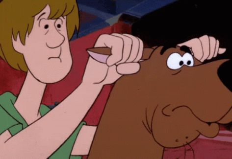 Shaggy Scooby Doo GIF - Shaggy ScoobyDoo Running - Discover & Share GIFs Shaggy Scooby Doo Movie, Non Scary Halloween Movies, Shaggy Scooby Doo, Funny Face Gif, Scooby Doo Images, Scooby Doo Mystery Incorporated, Shaggy And Scooby, Scrappy Doo, New Scooby Doo