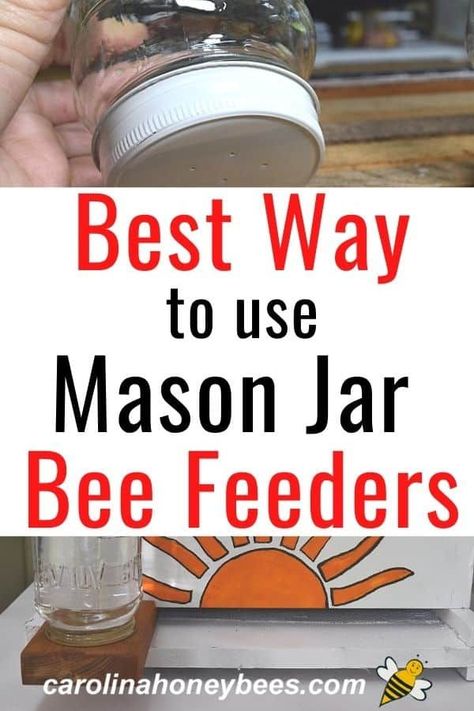 Learn how to make a mason jar bee feeder and how to use them properly.  Feeding bees in the wrong way can cause big problems for your colony.  #carolinahoneybees #masonjarbeefeeder #feedingbees Mason Jar Bee Hive Diy, Water For Bees, Backyard Beehive, Bee Hives Diy, Honey Bee Garden, Bee Feeder, Feeding Bees, Bee Food, Beekeeping For Beginners