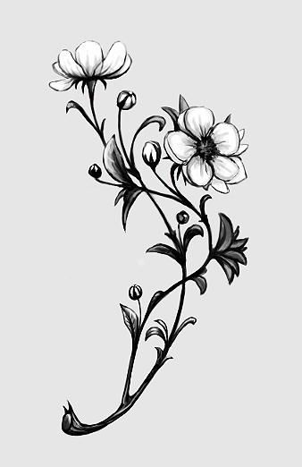 Apple Blossom Tattoo by curlyhair Apple Blossom Tattoo, Apple Blossom Tattoos, Apple Tattoo, Flower Tattoo Back, Flower Tattoo Sleeve, Blossom Tattoo, Foot Tattoo, Flower Tattoo Designs, Mom Tattoos