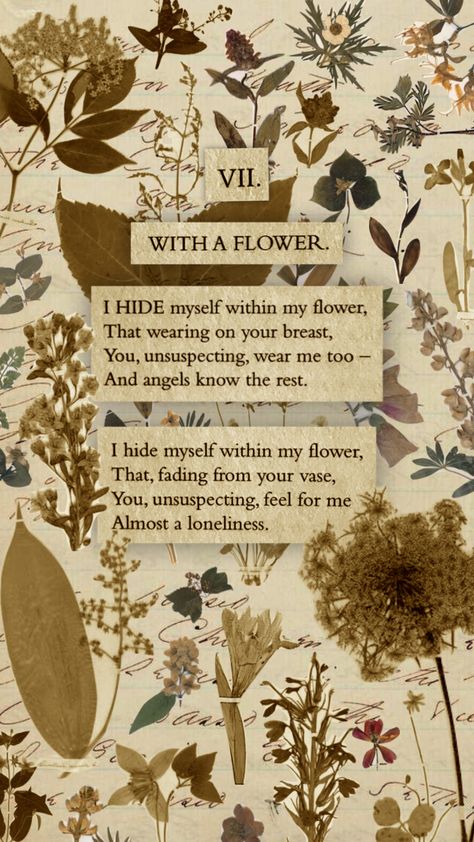 Emily Dickinson Poems Aesthetic, Emily Dickinson Poems Wallpaper, Emily Dickinson Poems Poetry, Emily Dickinson Wallpaper, Emily Dickinson Aesthetic, Illustrated Poems, Emily Dickinson Poetry, Emily Dickinson Quotes, Dickinson Poems