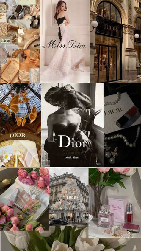 Dior Aesthetic Collage Dior Collage, Dior Aesthetic, Aesthetic Collage, Dior, Collage